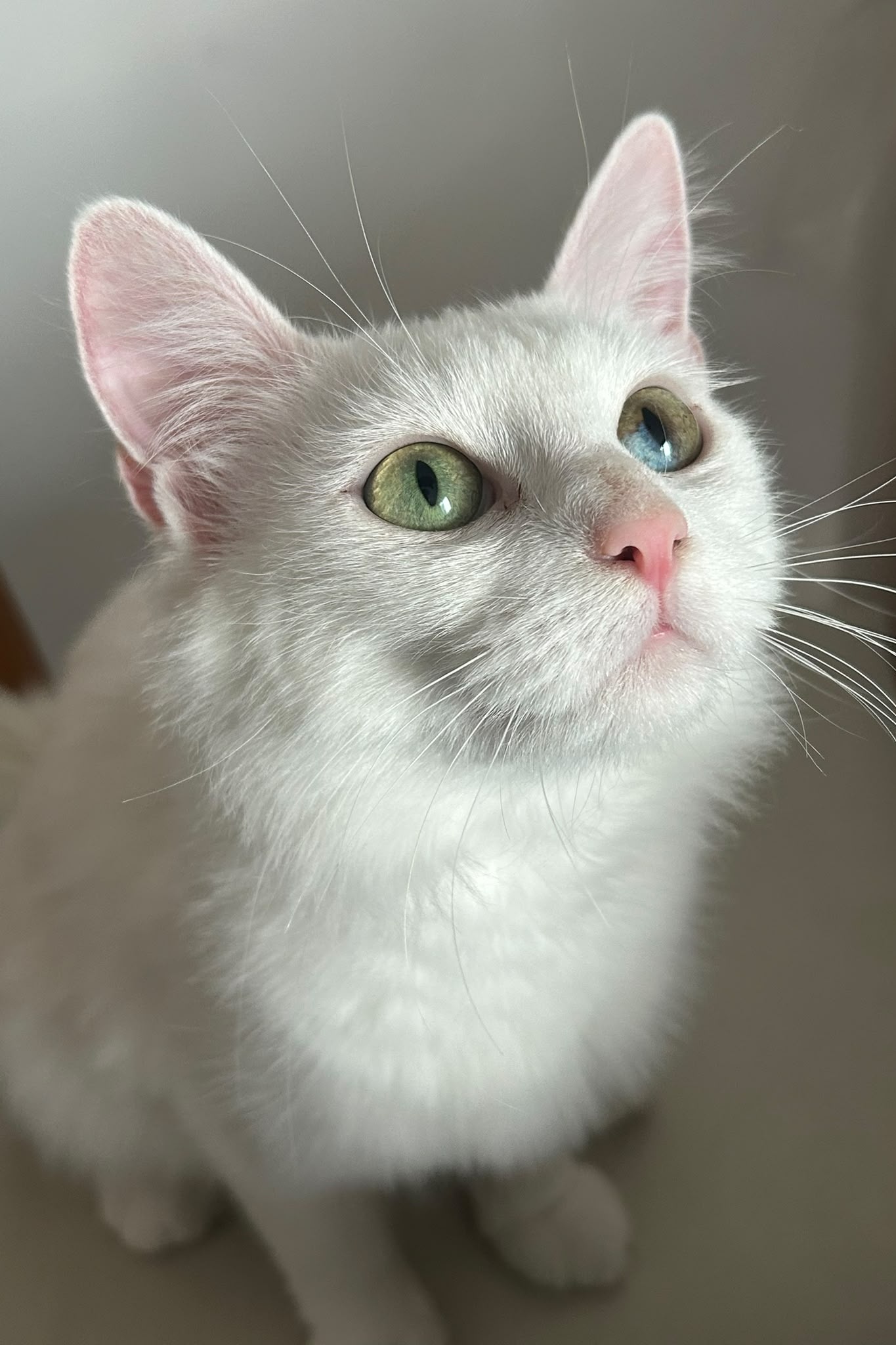 Accueil KIRA